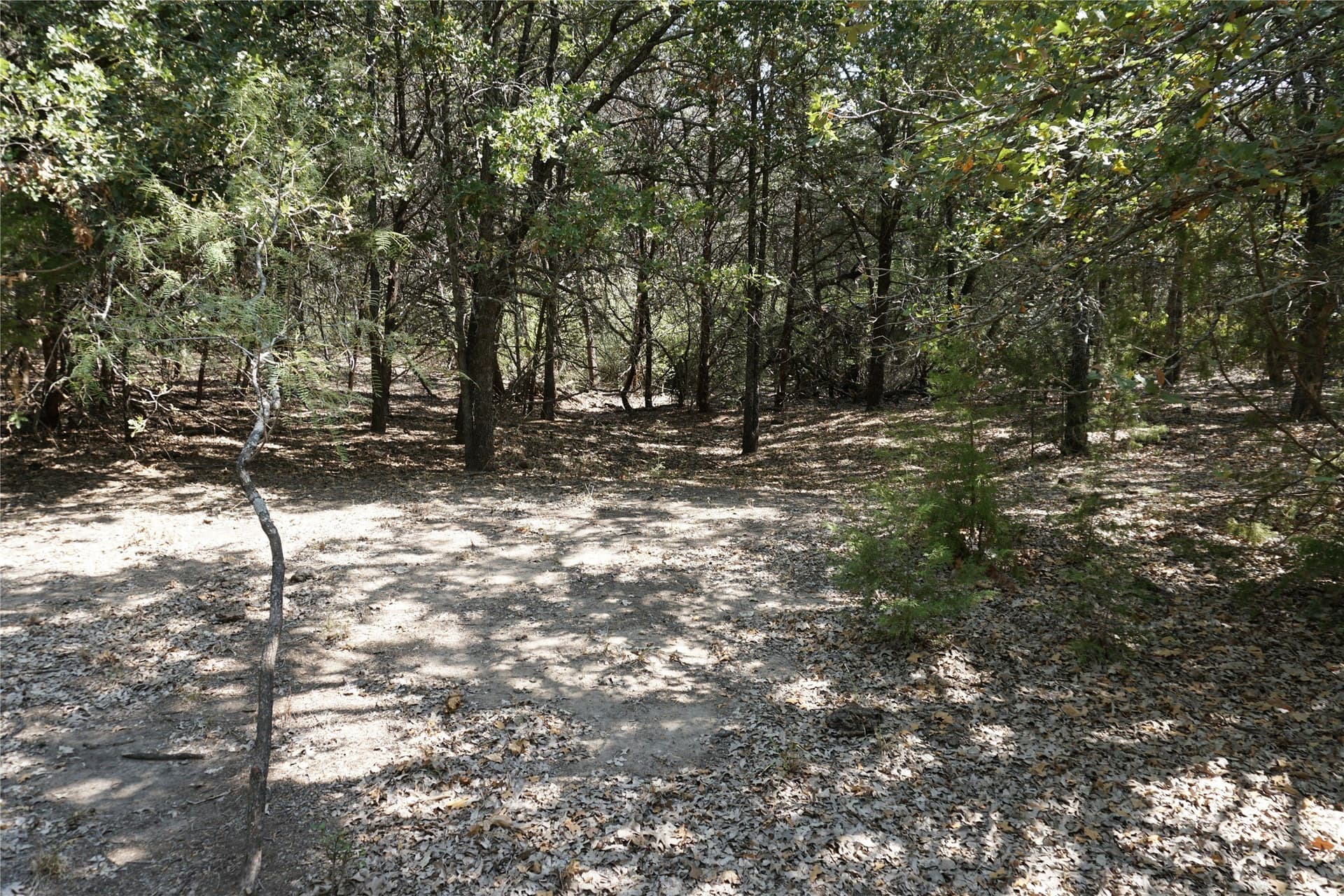 24.81 acres in Navarro County - photo 16