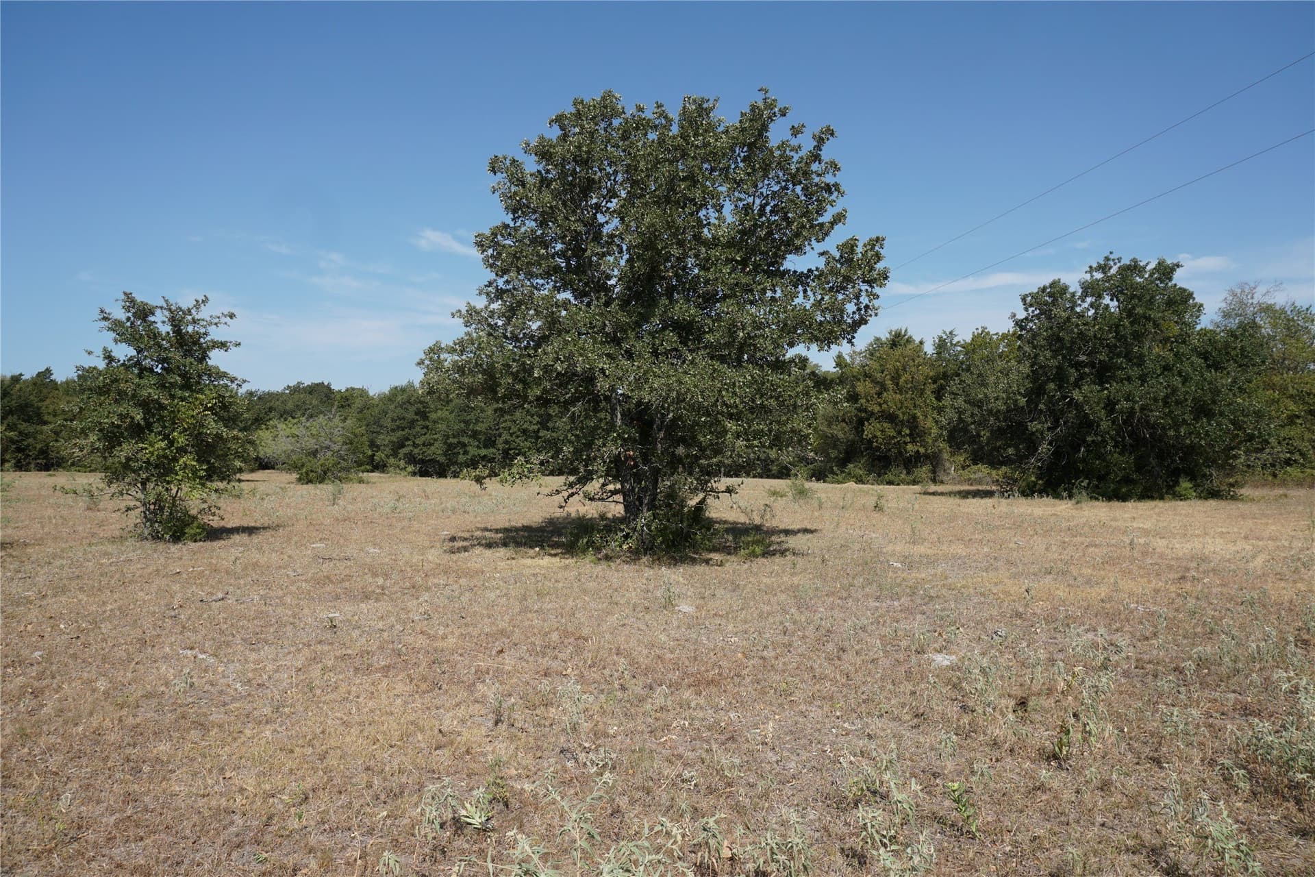 24.81 acres in Navarro County - photo 5