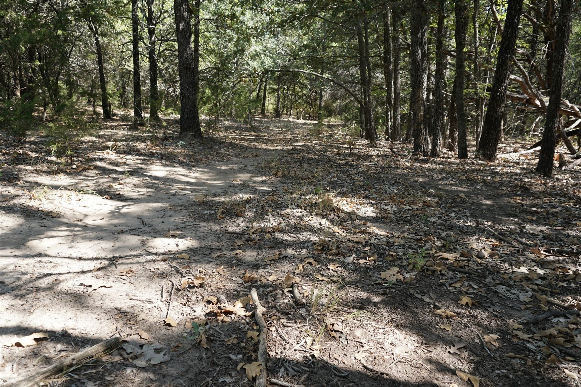 24.81 acres in Navarro County - photo 13