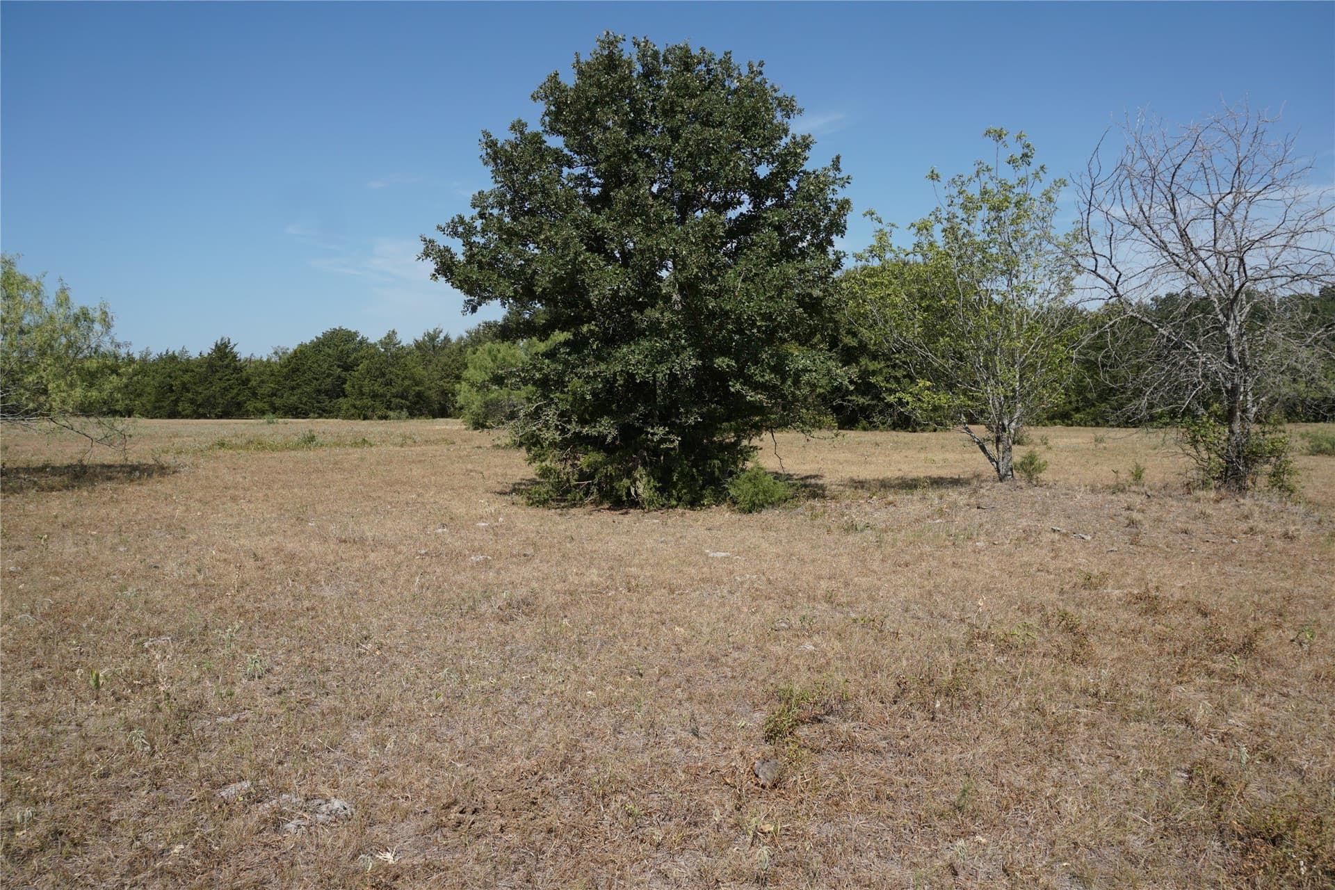 24.81 acres in Navarro County - photo 4
