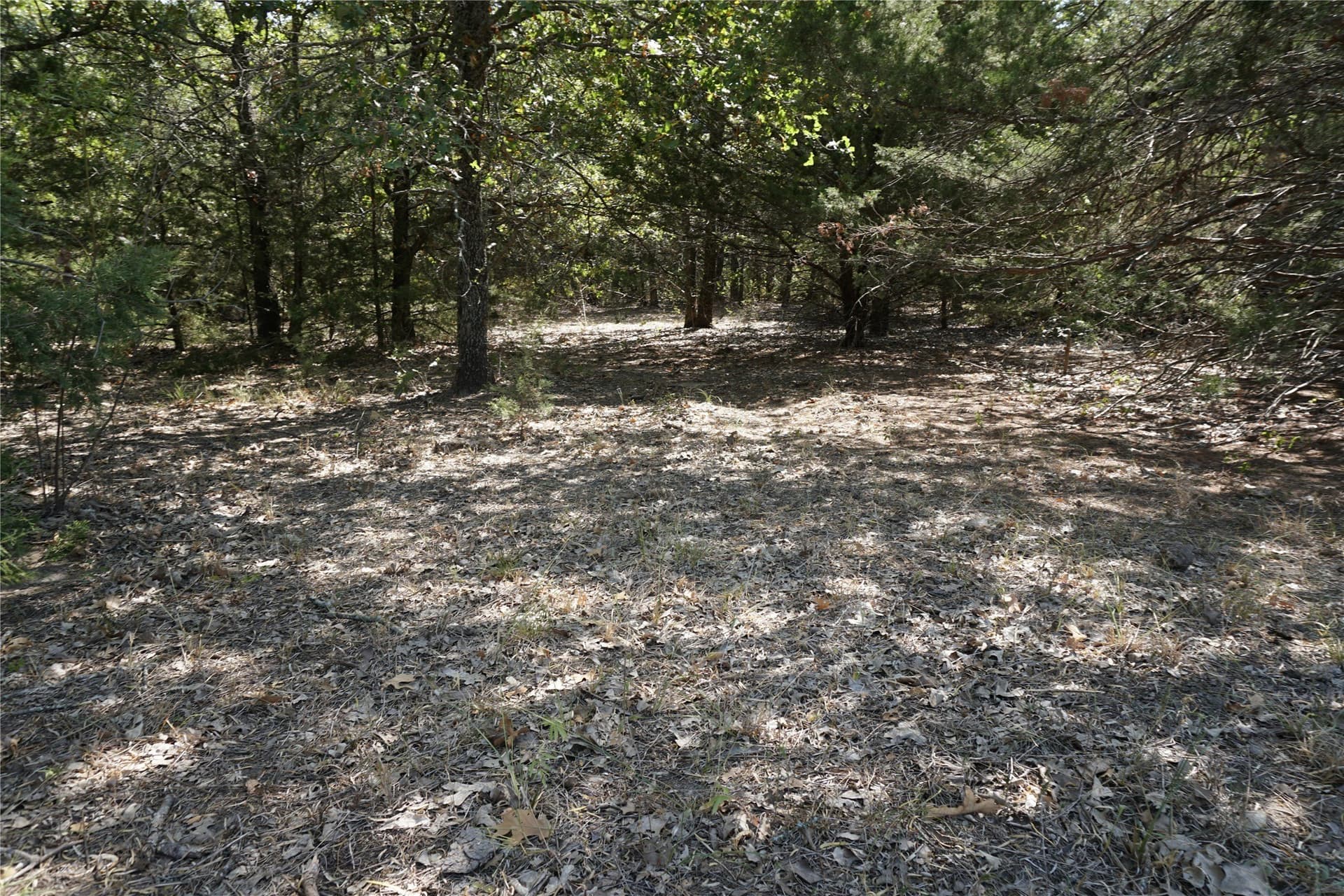 24.81 acres in Navarro County - photo 18