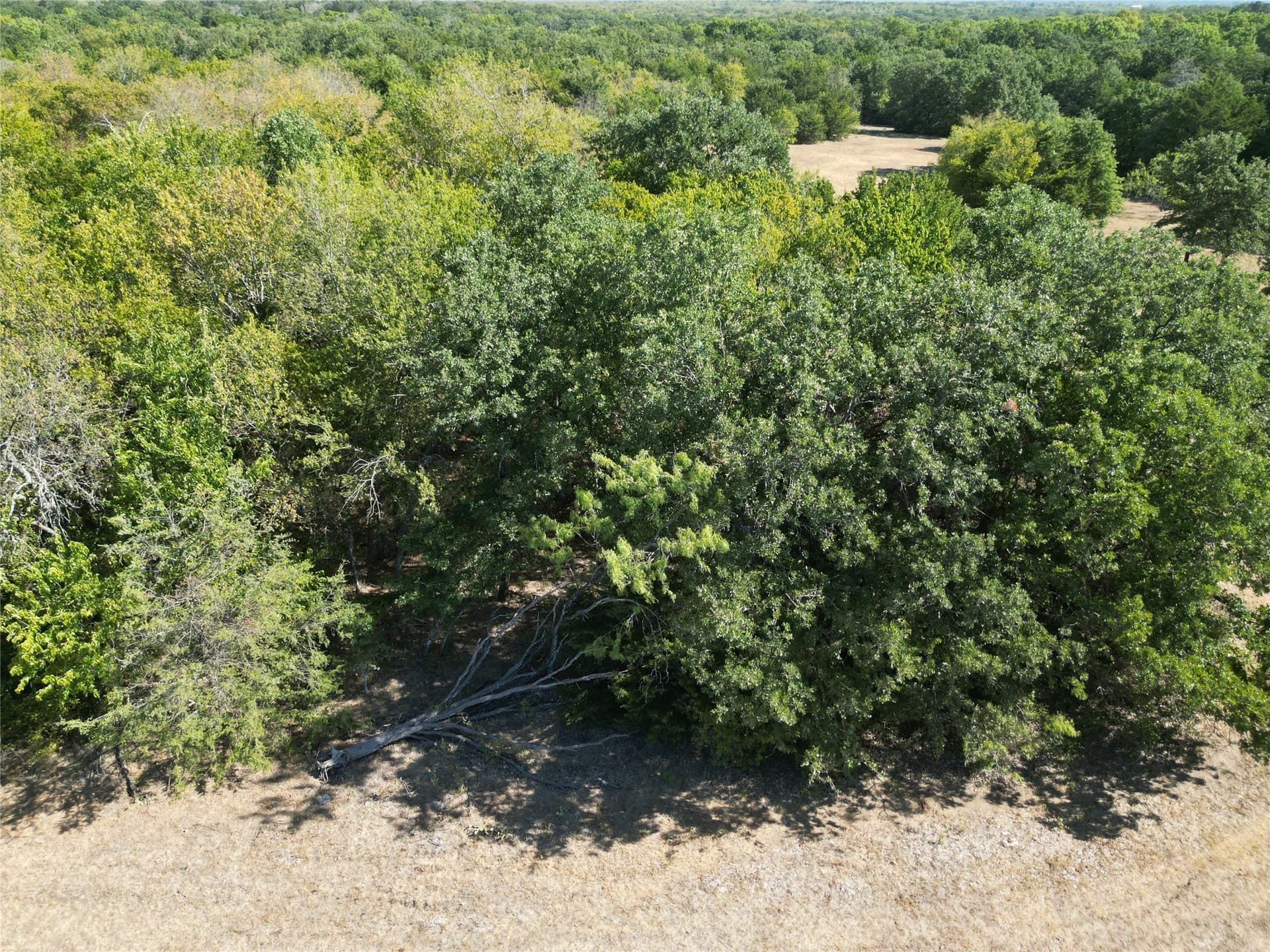 24.81 acres in Navarro County - photo 25