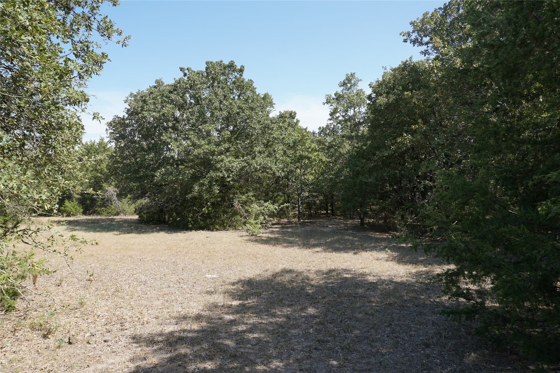 24.81 acres in Navarro County - photo 12