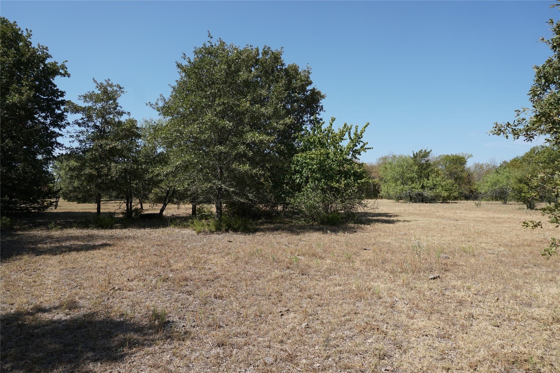24.81 acres in Navarro County - photo 14