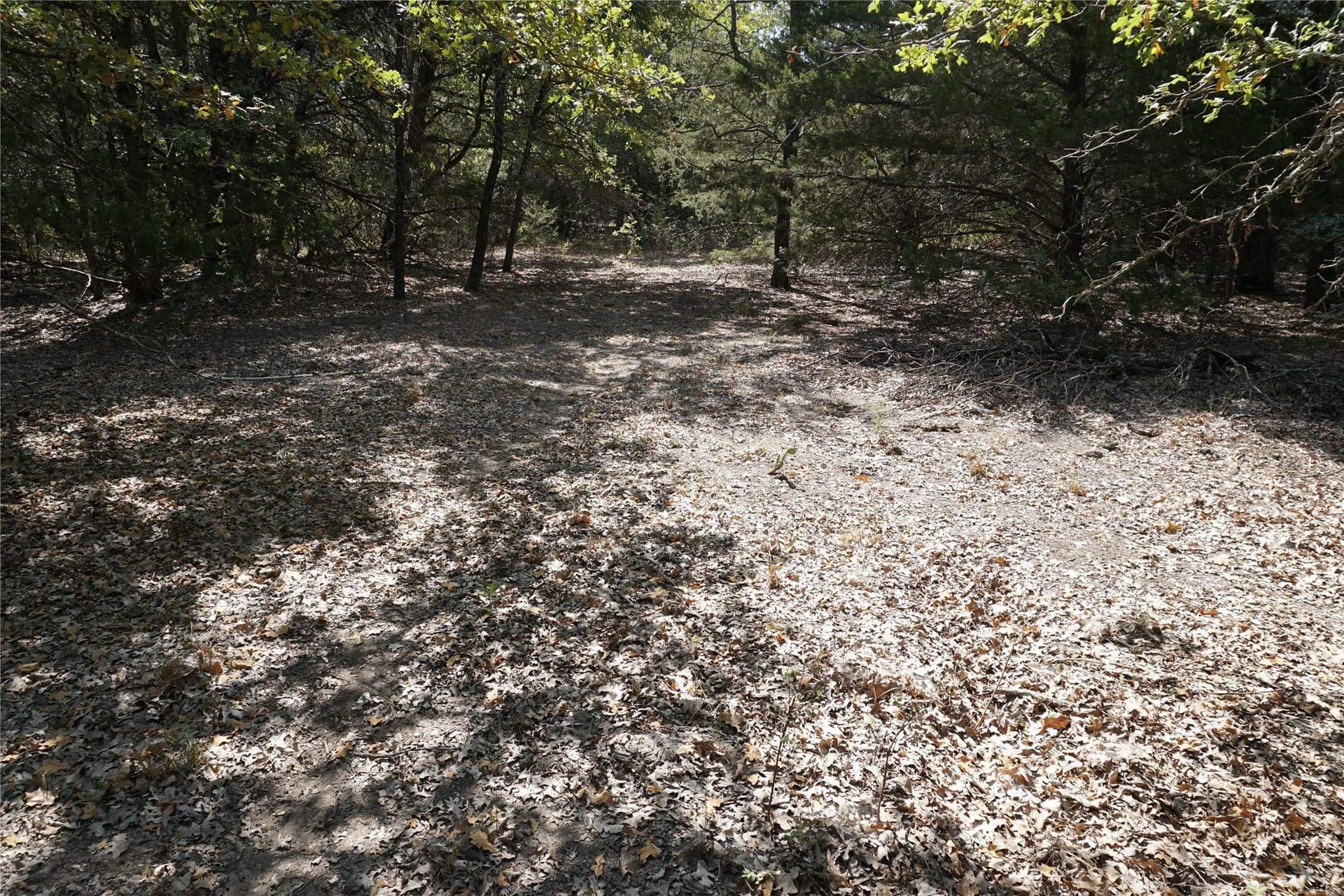 24.81 acres in Navarro County - photo 17