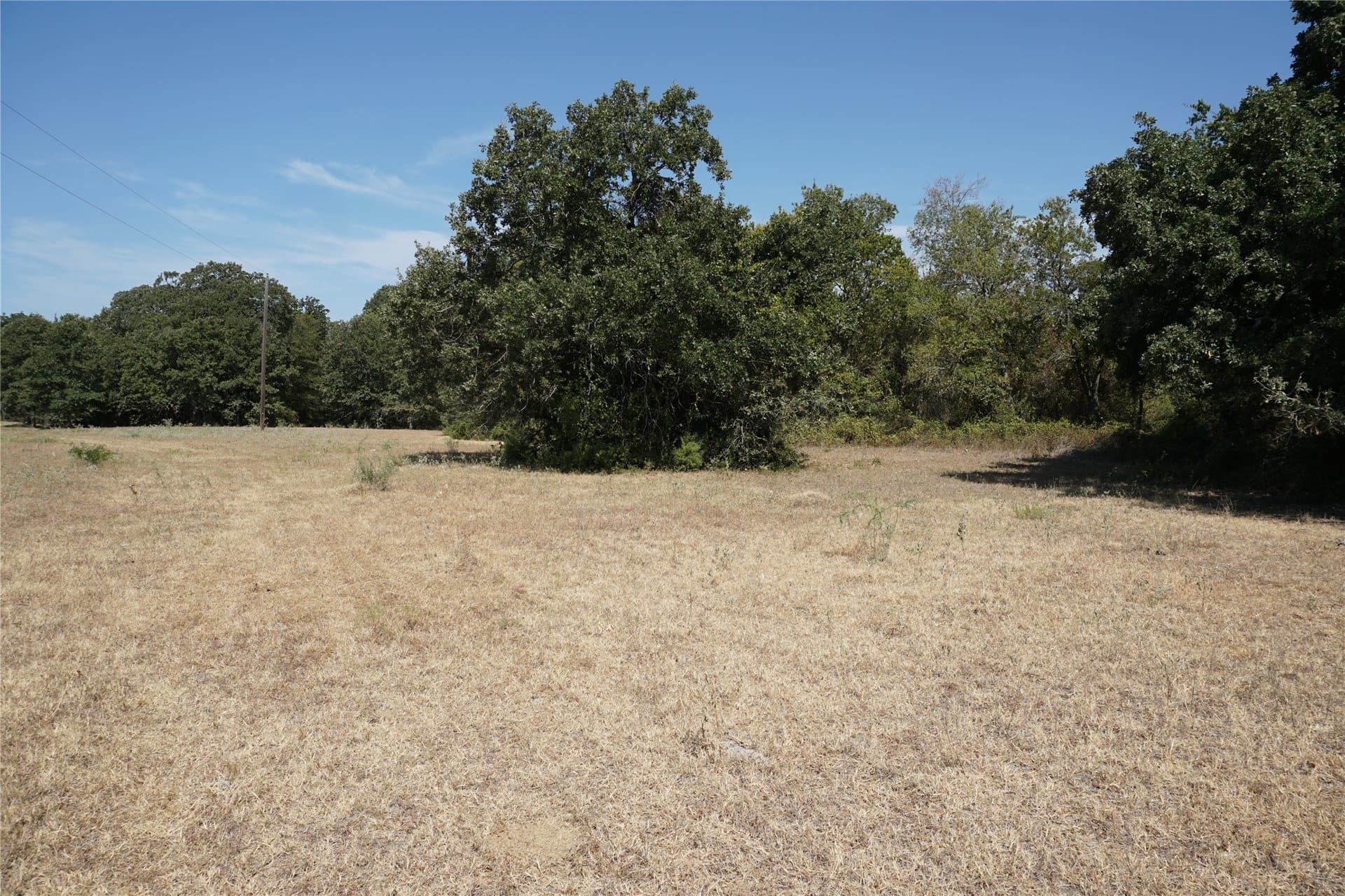 24.81 acres in Navarro County - photo 6