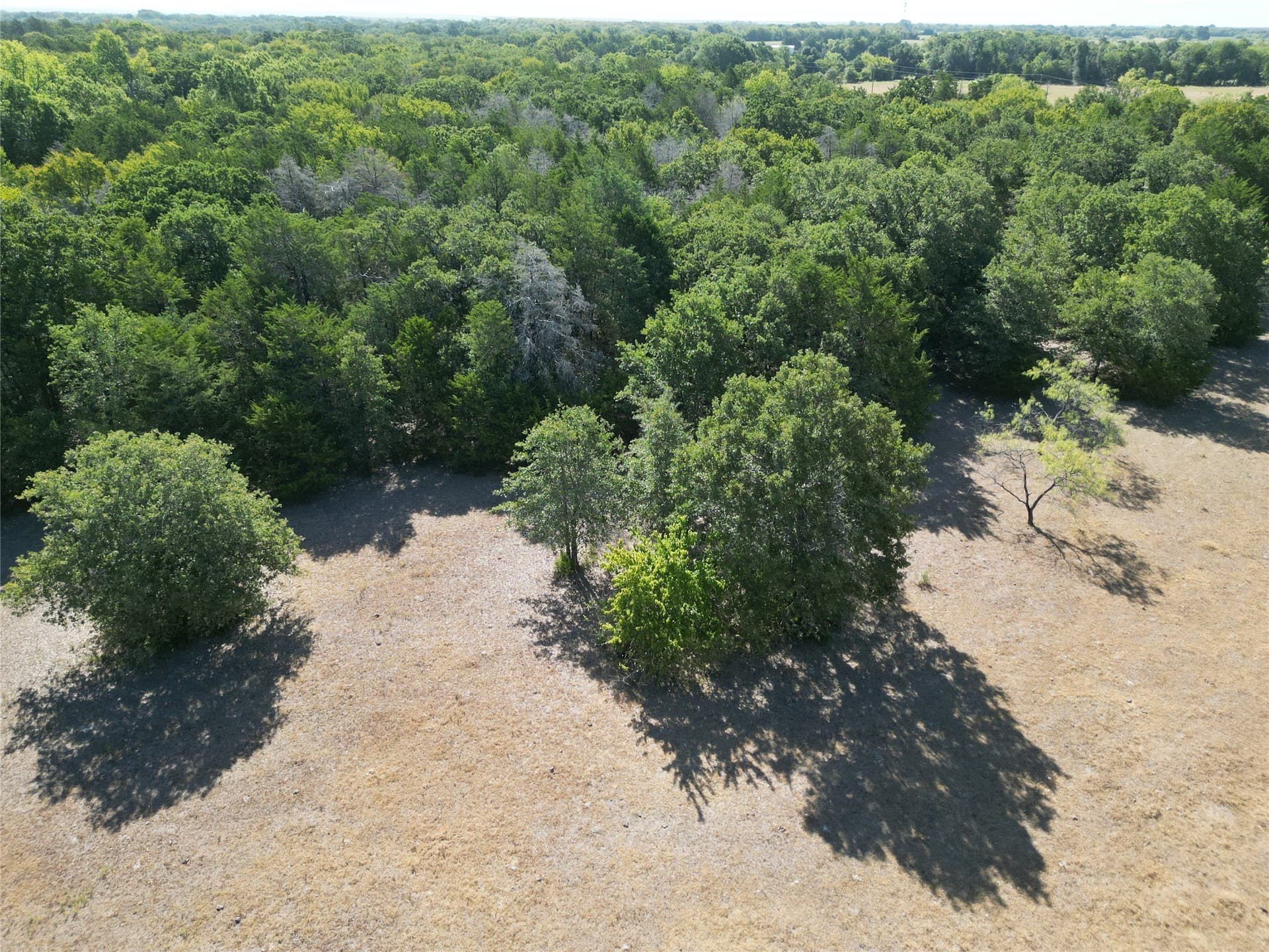 24.81 acres in Navarro County - photo 24