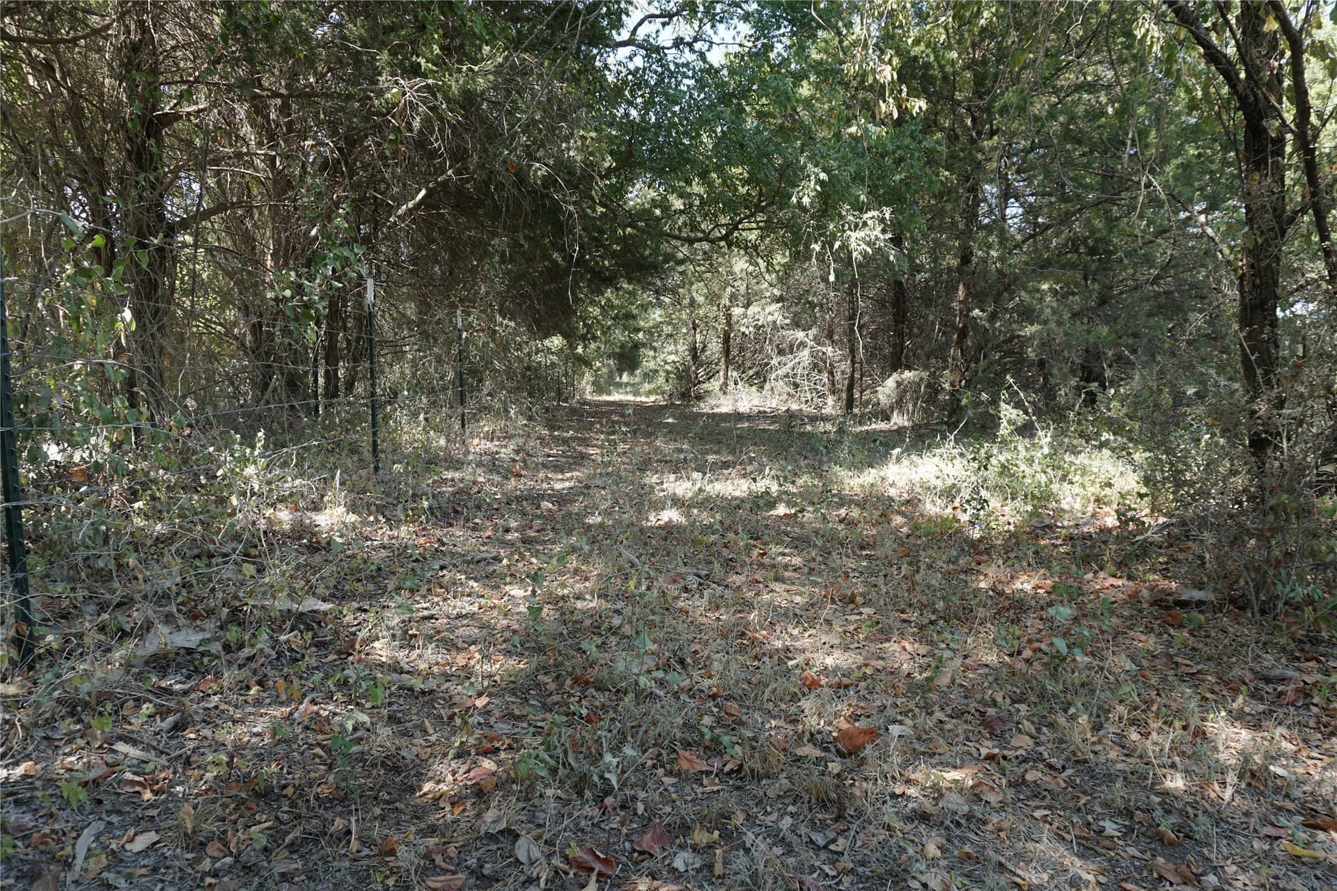 24.81 acres in Navarro County - photo 21