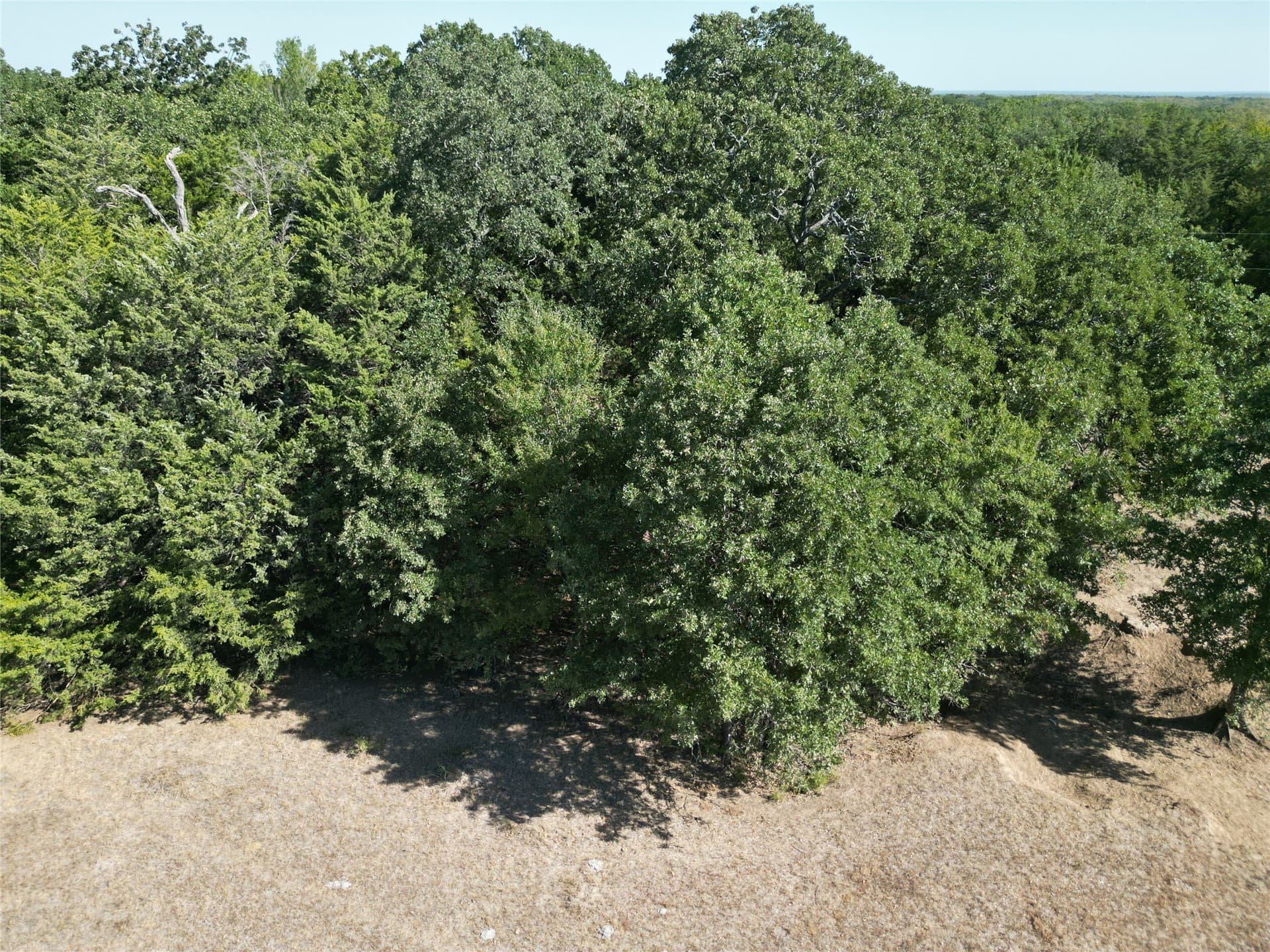 24.81 acres in Navarro County - photo 26