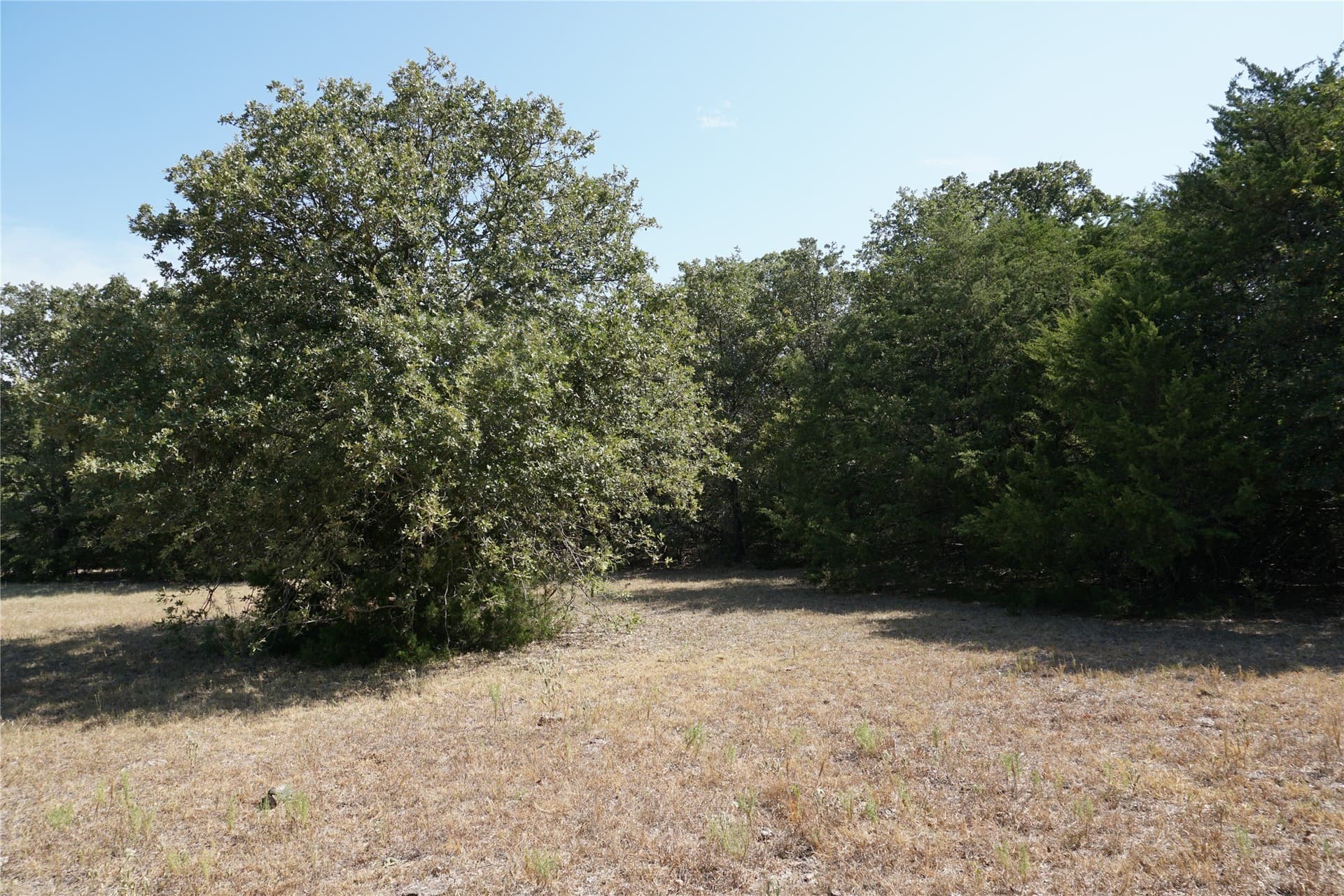 24.81 acres in Navarro County - photo 11