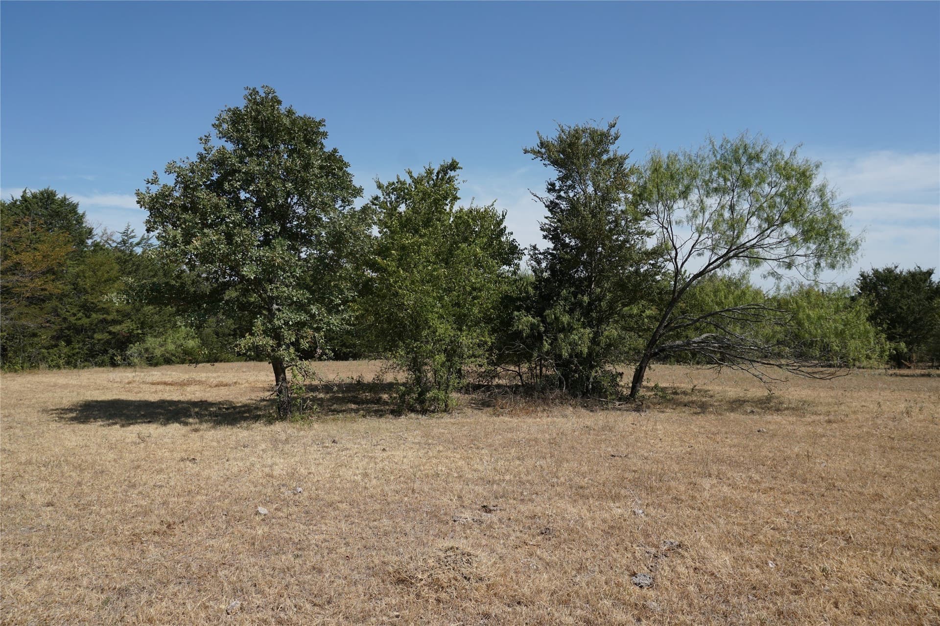 24.81 acres in Navarro County - photo 10