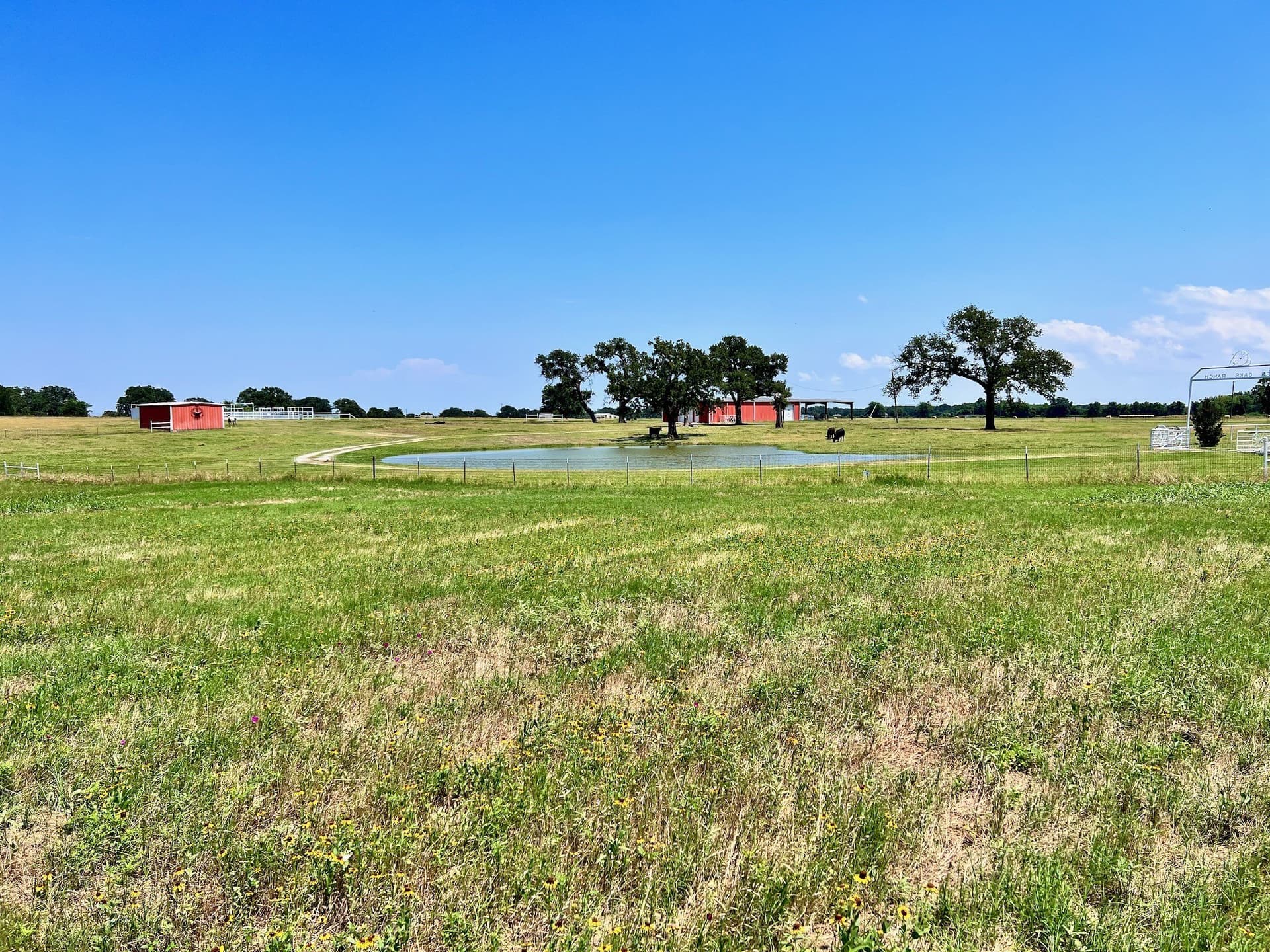 3.01 acres in Navarro County - photo 9