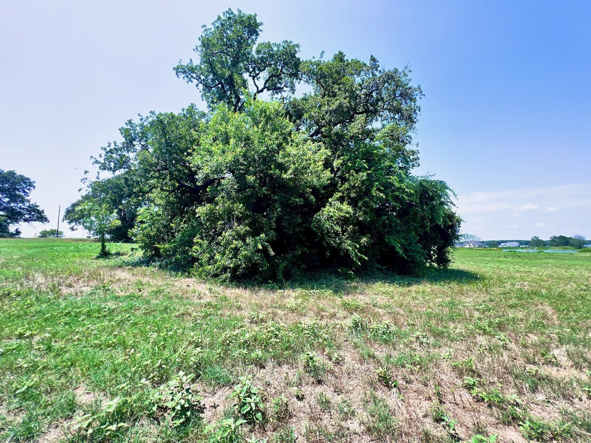 3.01 acres in Navarro County - photo 16