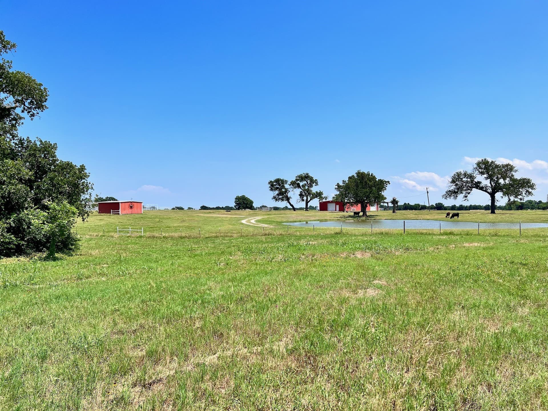 3.01 acres in Navarro County - photo 14