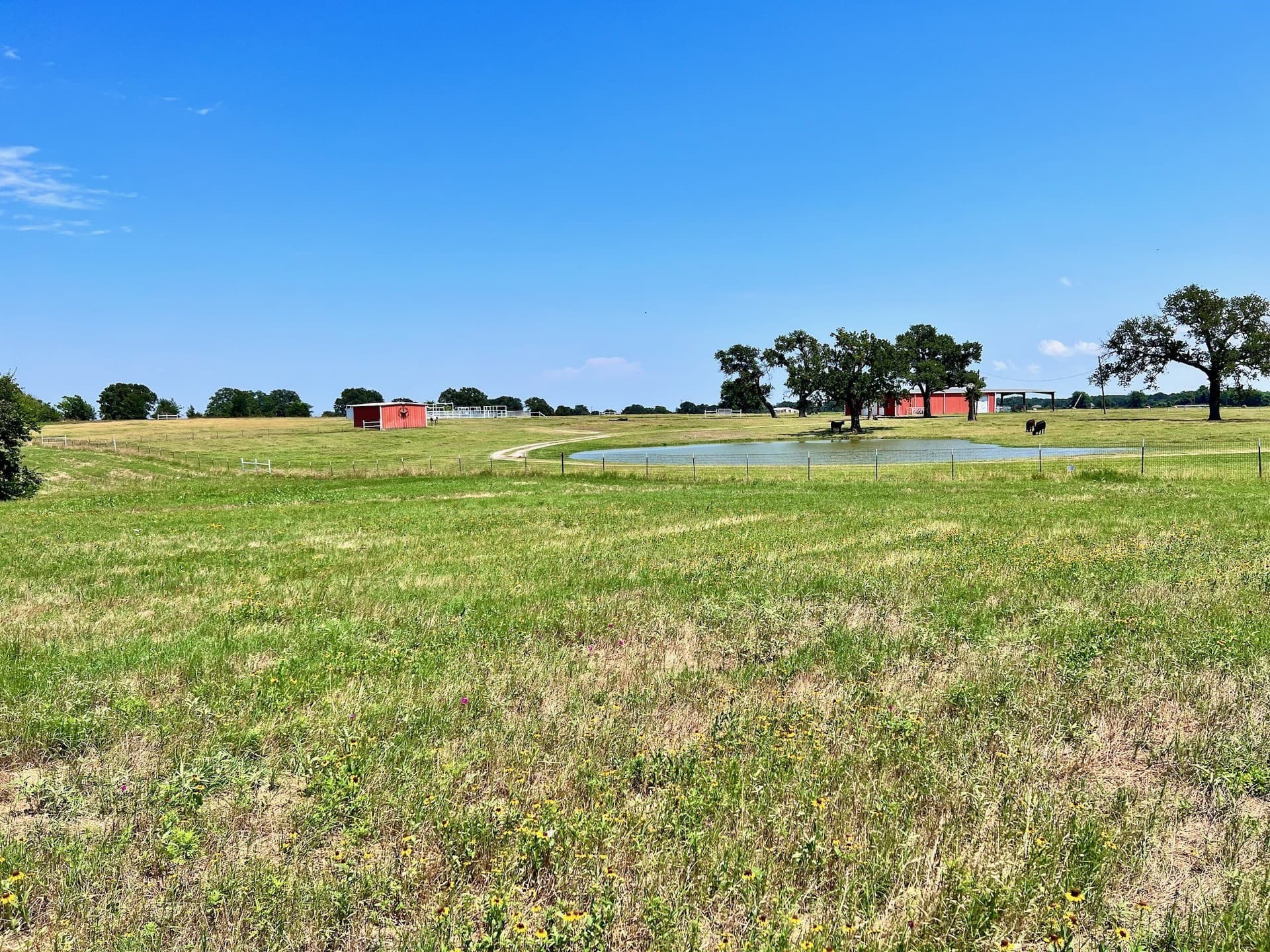 3.01 acres in Navarro County - photo 8