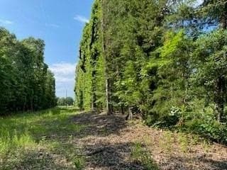 69.82 acres in Lamar County gallery image 2