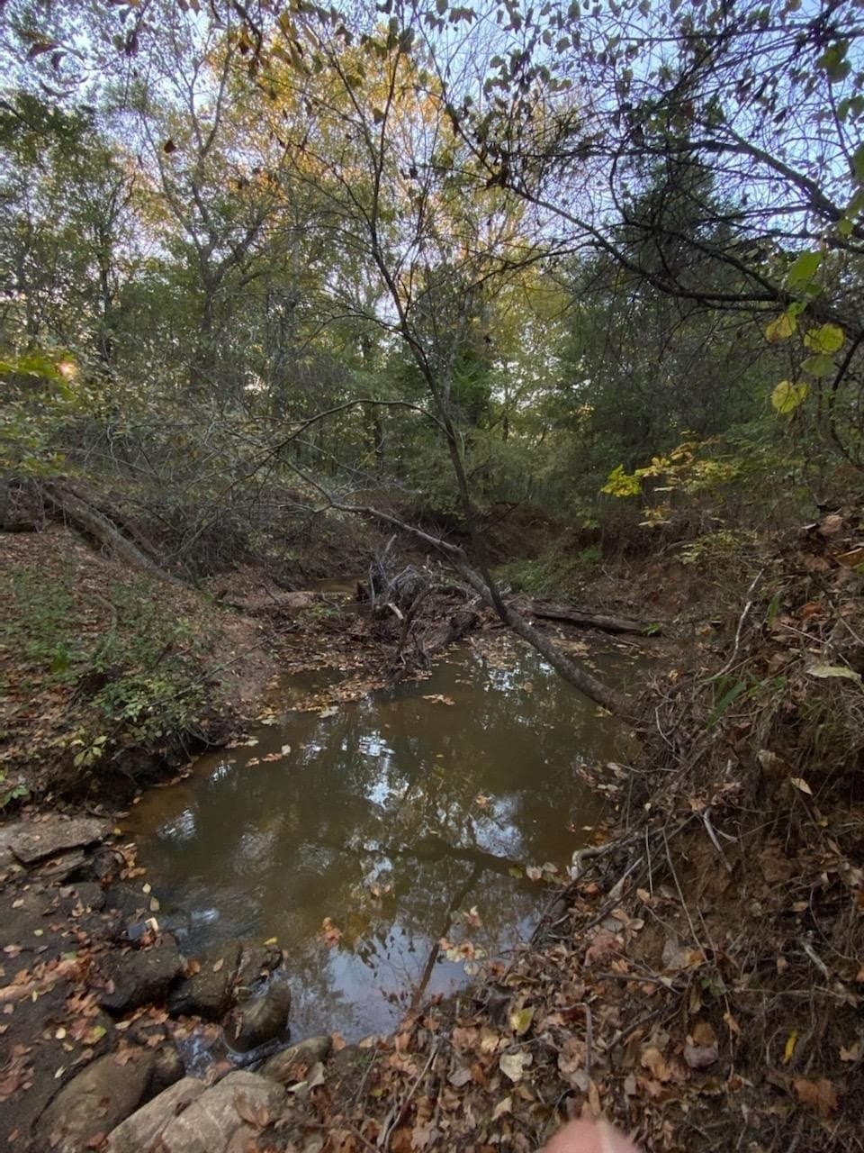 69.82 acres in Lamar County featured view