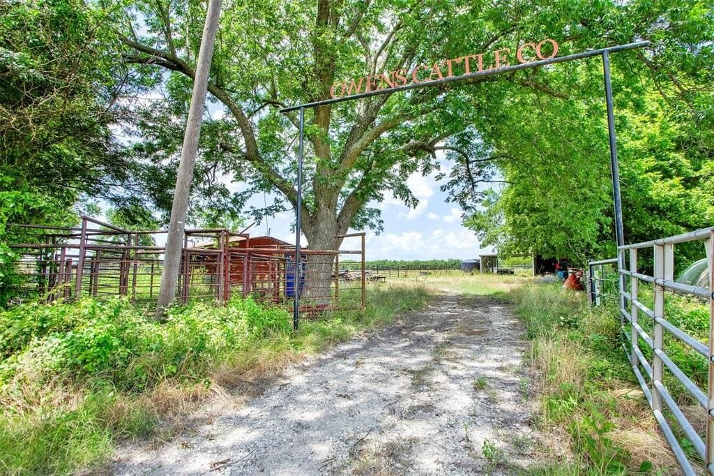 79.04 acres in Fannin County gallery image 2