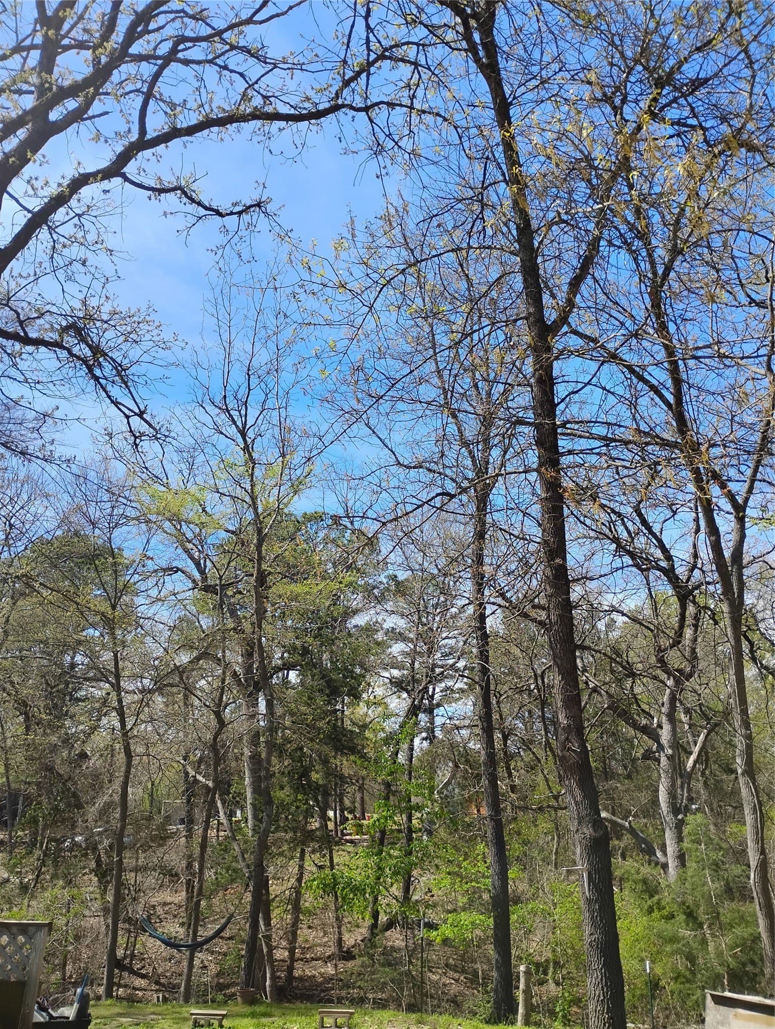 0.75 acres in Fannin County - photo 27