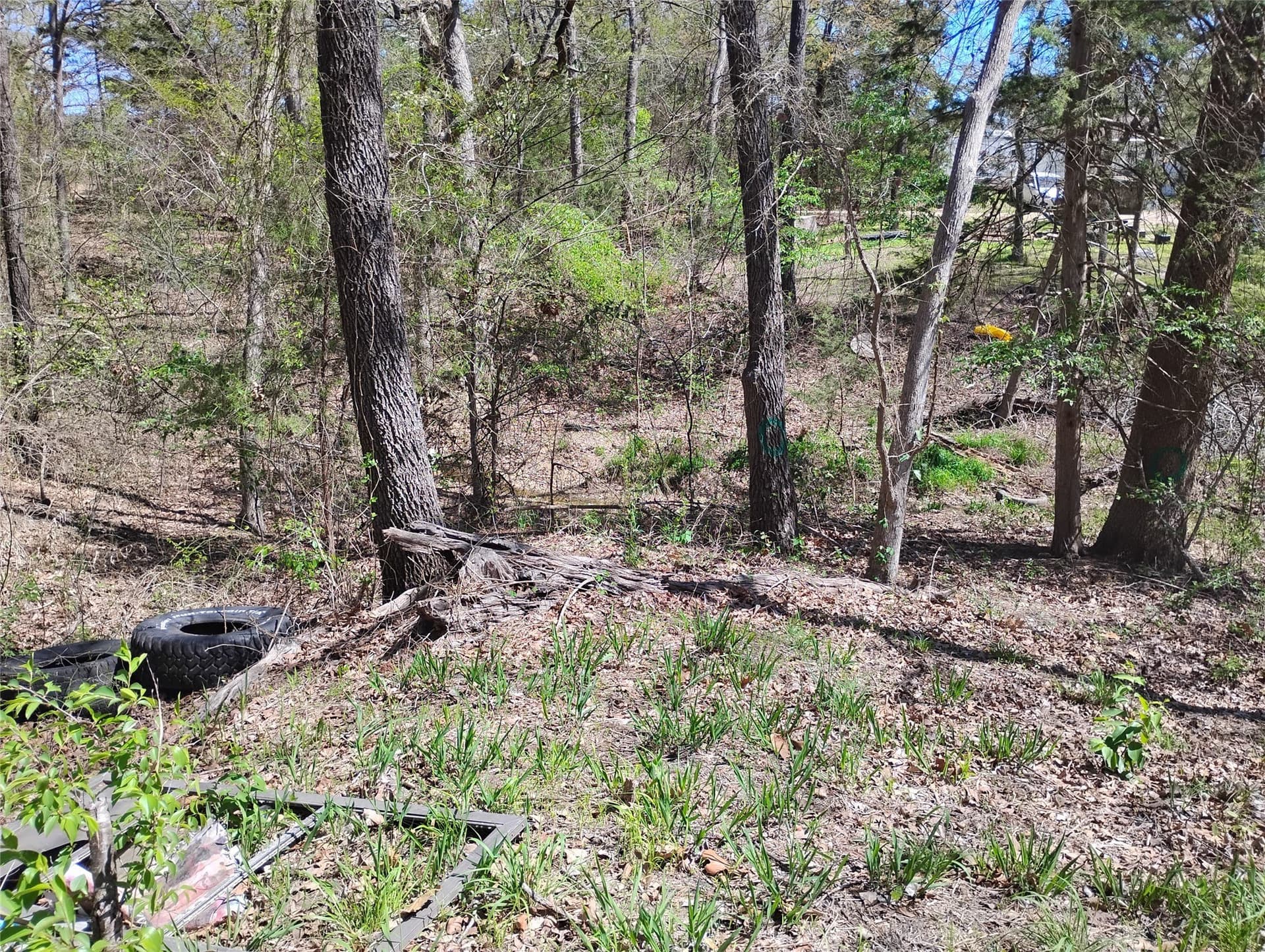 0.75 acres in Fannin County - photo 20