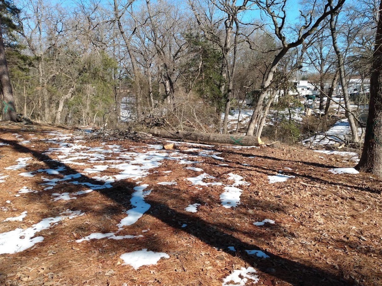 0.75 acres in Fannin County - photo 13