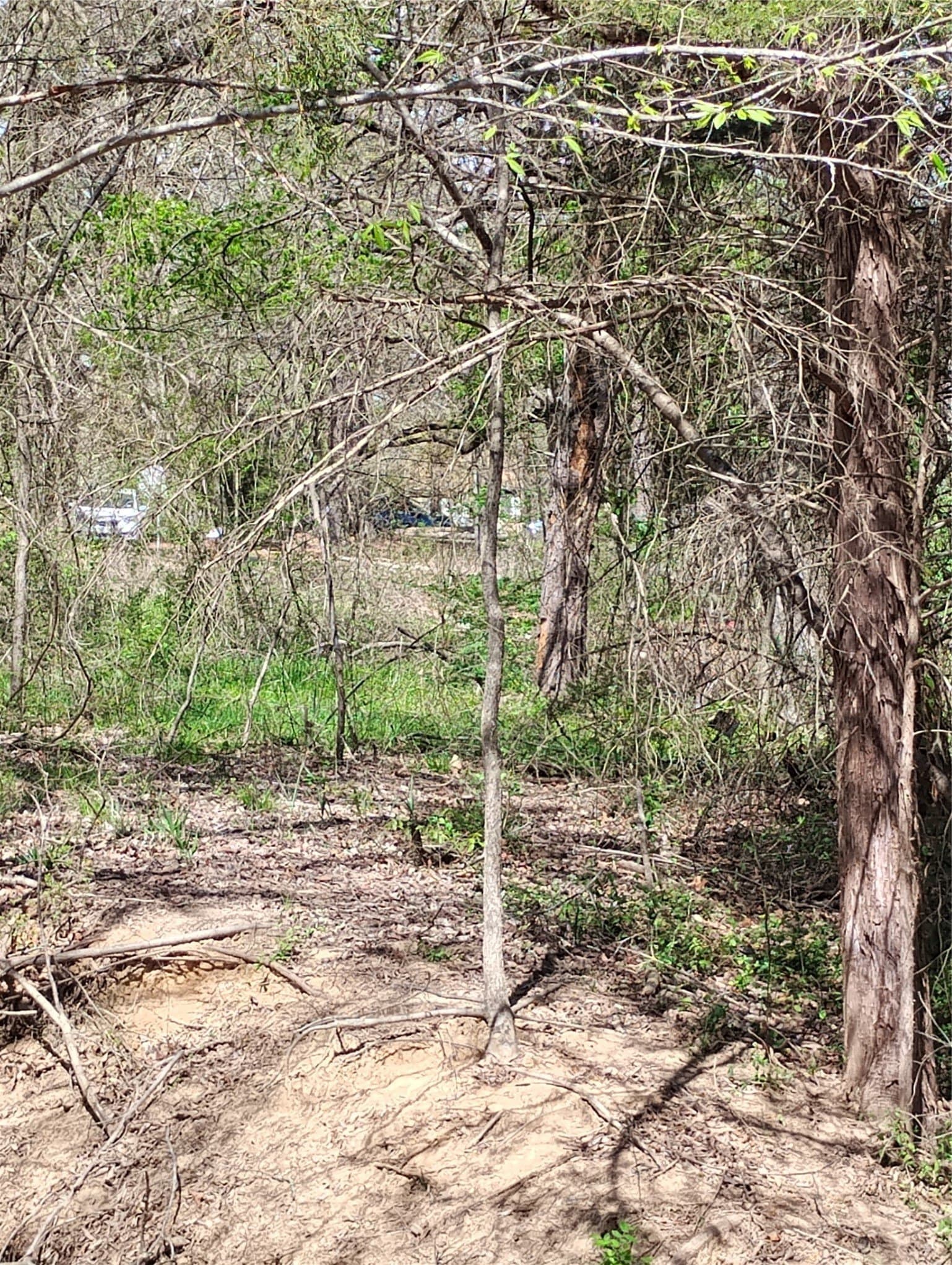 0.75 acres in Fannin County - photo 25