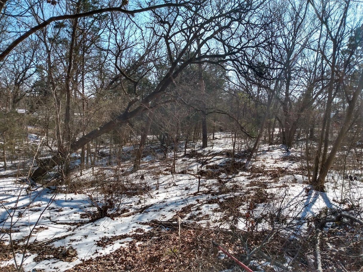 0.75 acres in Fannin County - photo 14