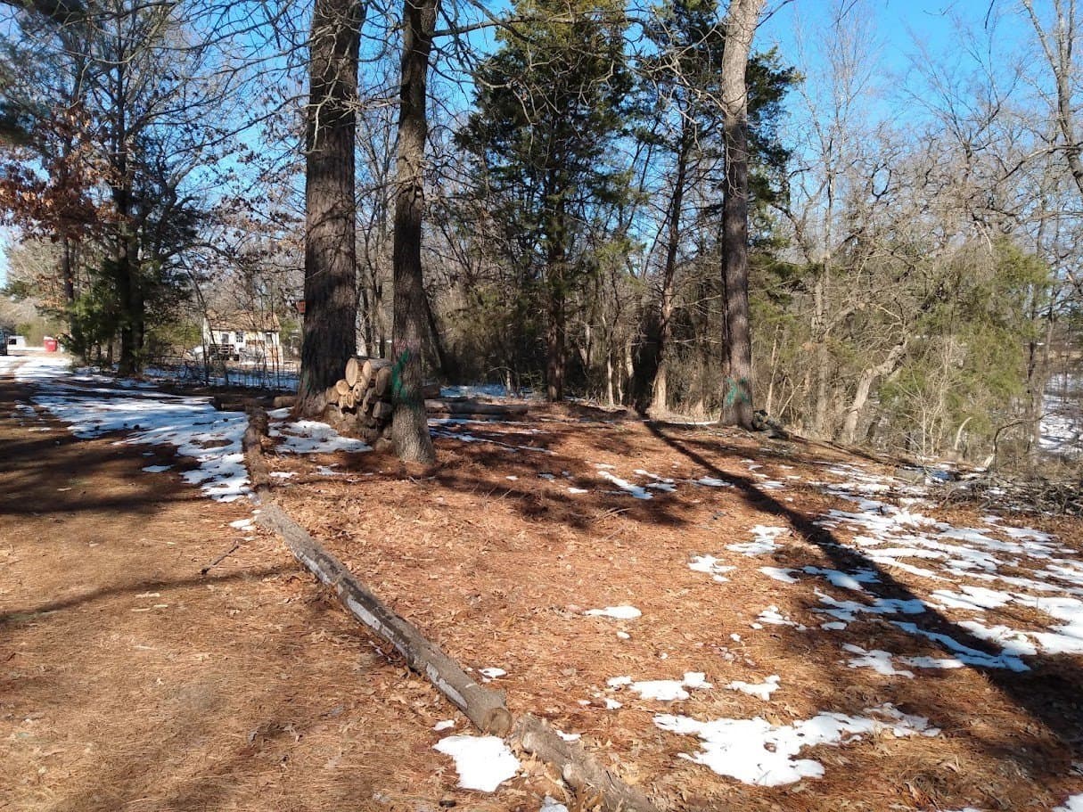 0.75 acres in Fannin County - photo 7