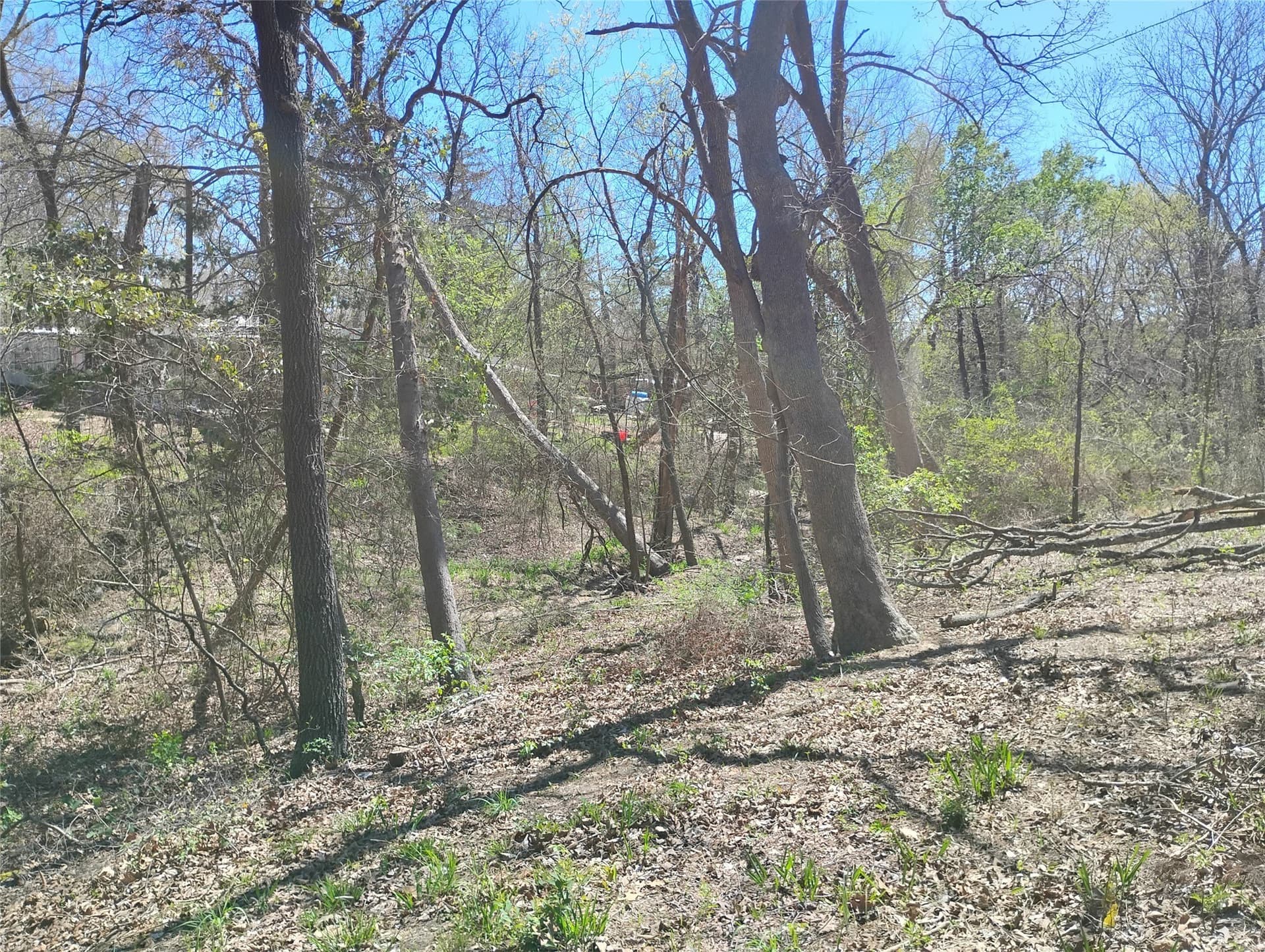 0.75 acres in Fannin County - photo 19