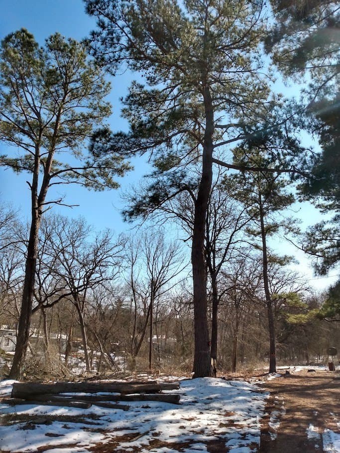 0.75 acres in Fannin County - photo 8