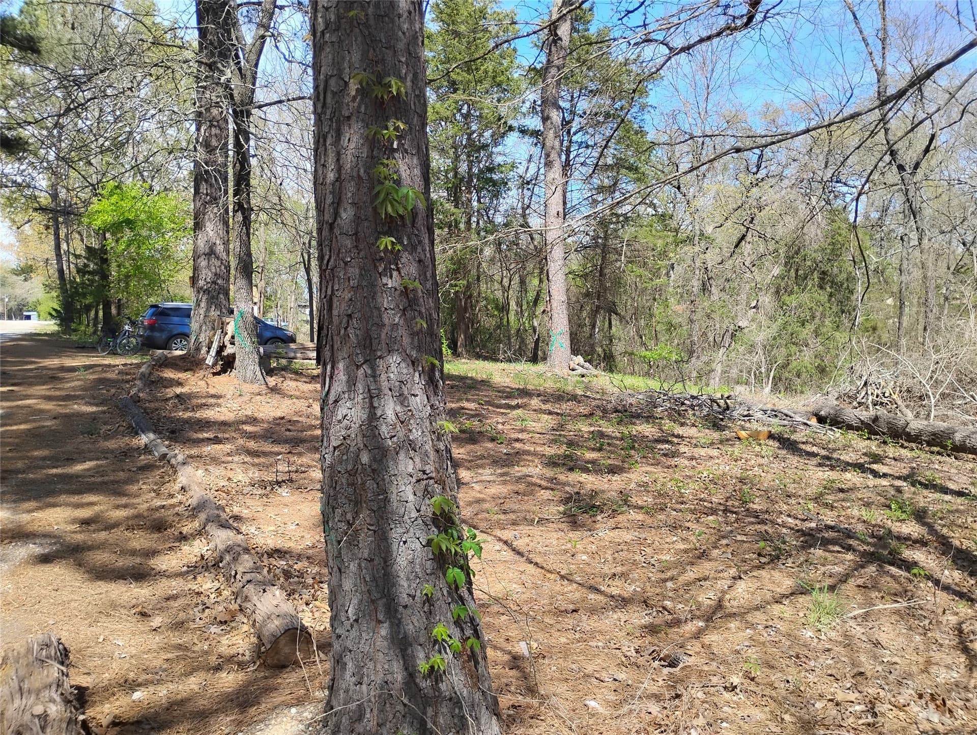 0.75 acres in Fannin County - photo 30