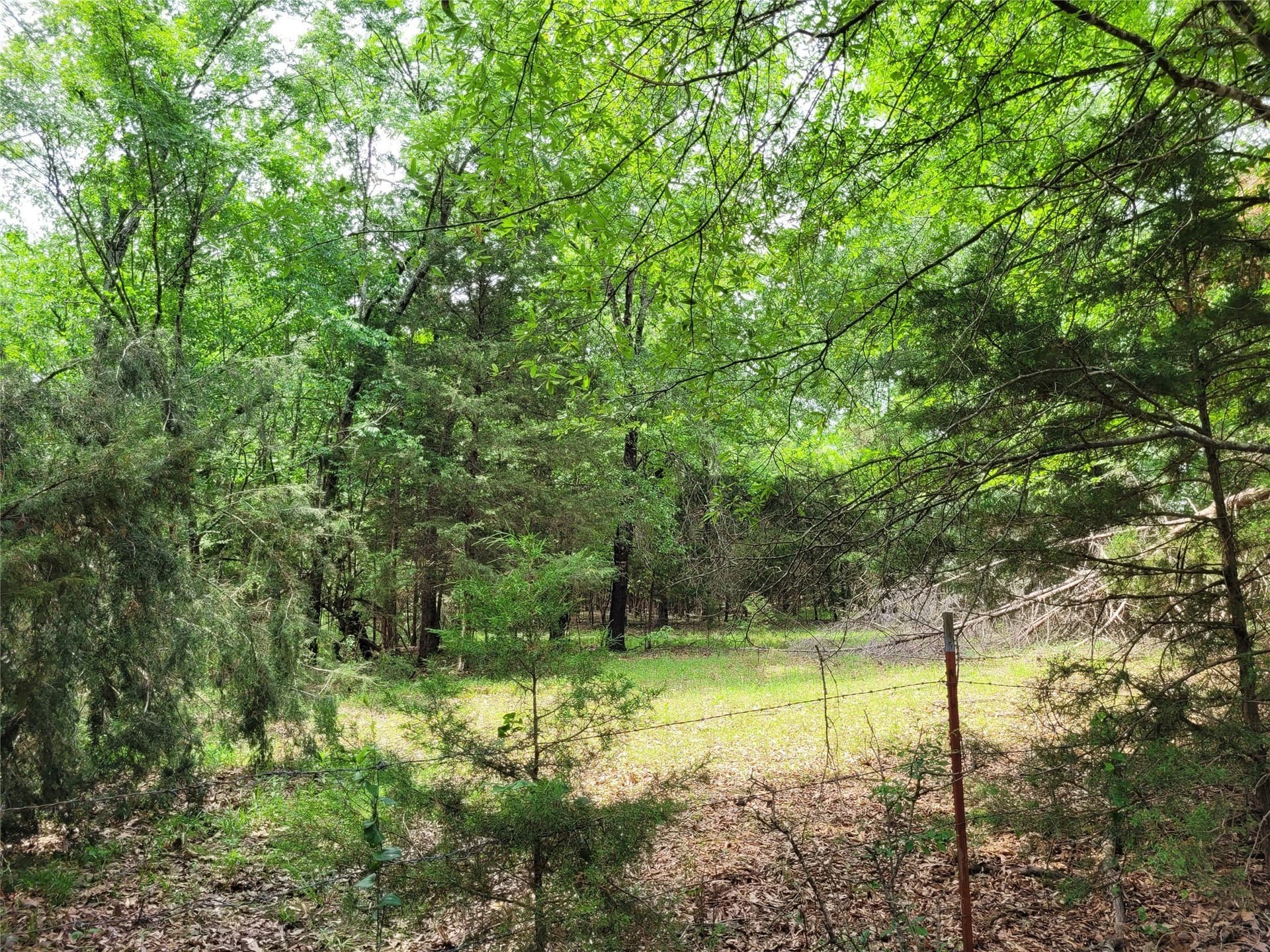 6 acres in Red River (TX) County