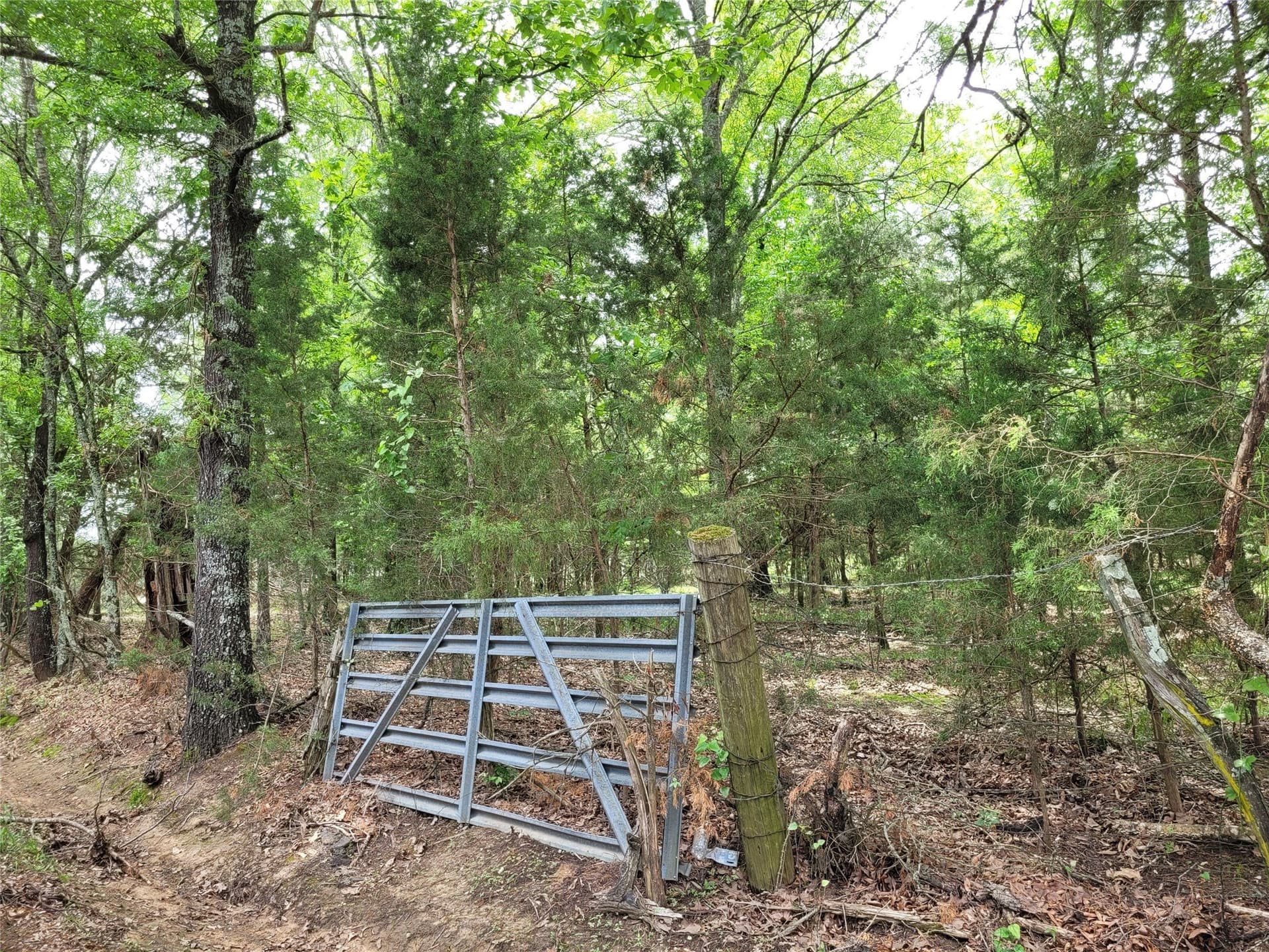 6 acres in Red River (TX) County featured view