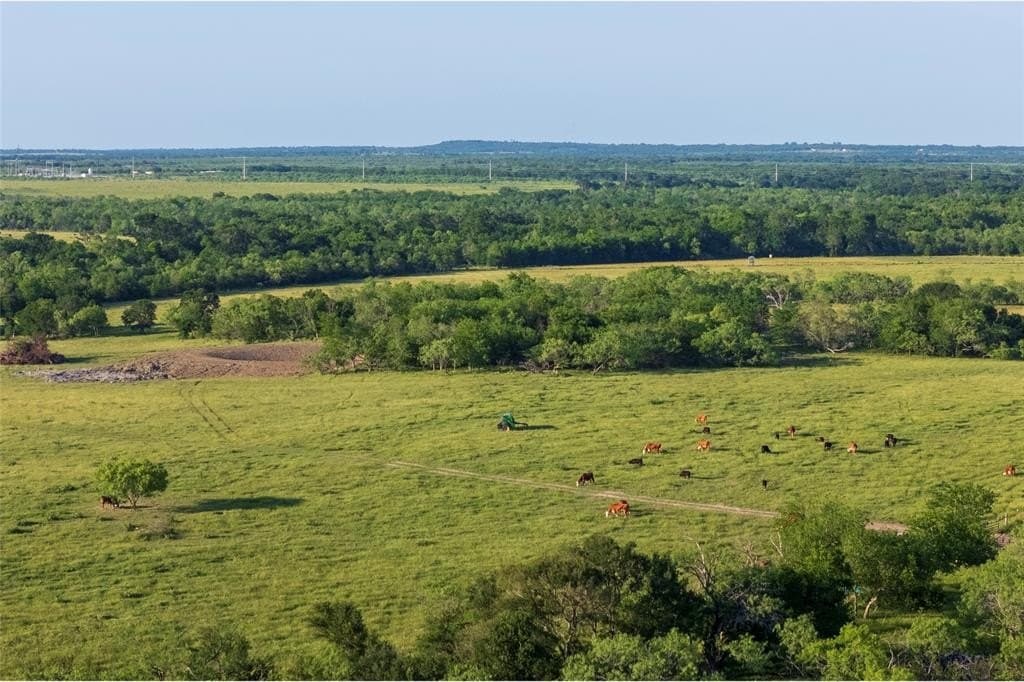 115 acres in Limestone County featured view