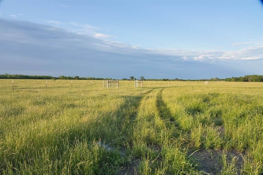 115 acres in Limestone County