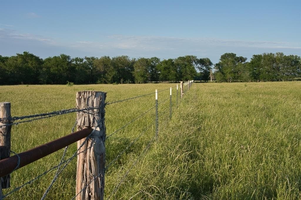115 acres in Limestone County gallery image 3