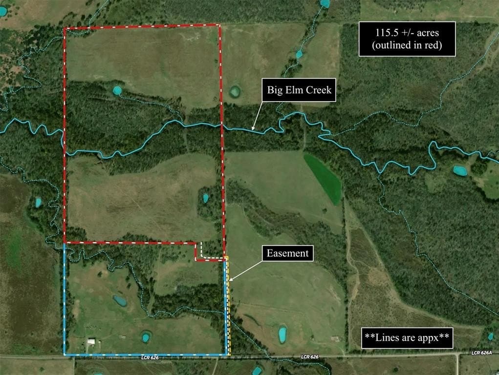 115 acres in Limestone County gallery image 4