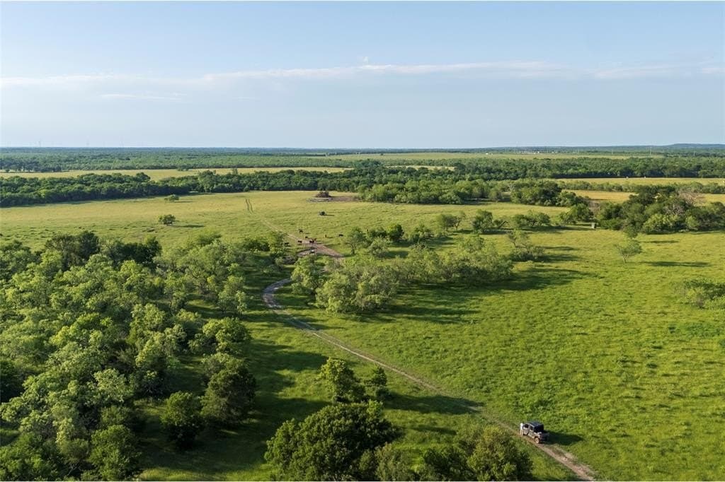 115 acres in Limestone County gallery image 2