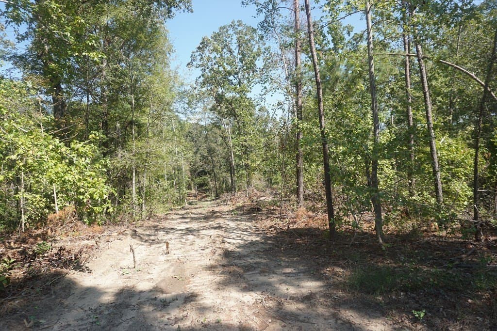 25.88 acres in ANDERSON County - photo 3