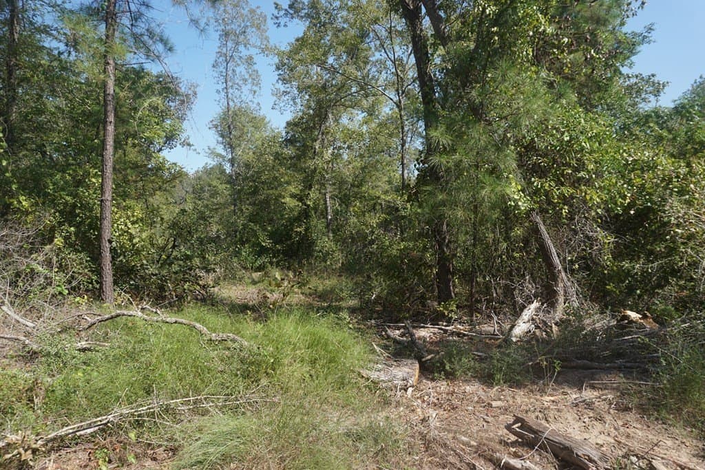25.88 acres in ANDERSON County - photo 4