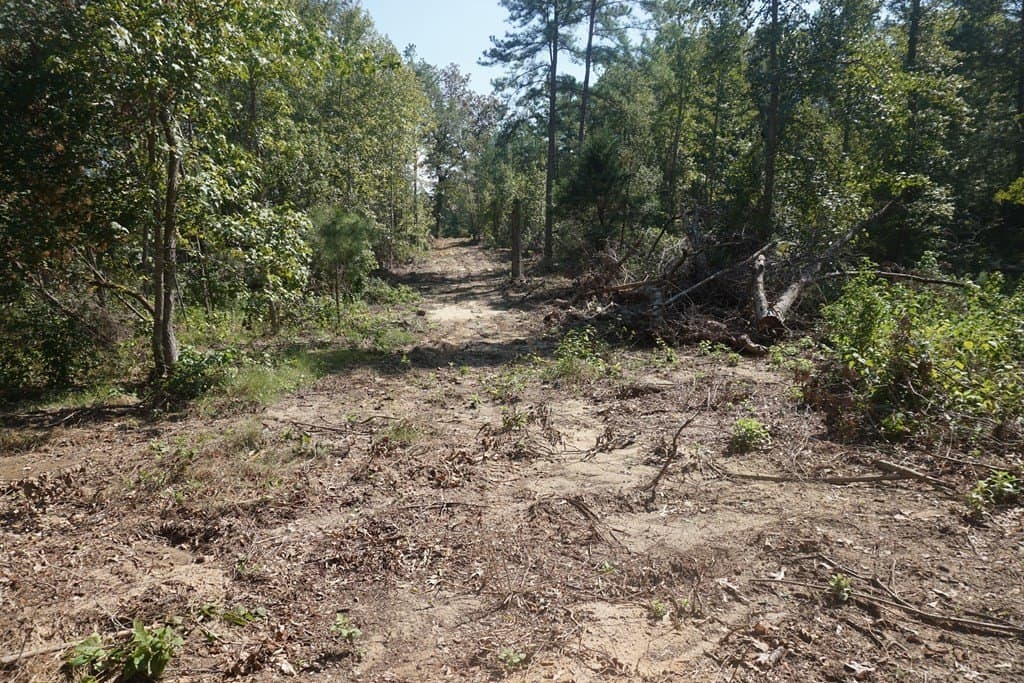 25.88 acres in ANDERSON County - photo 6