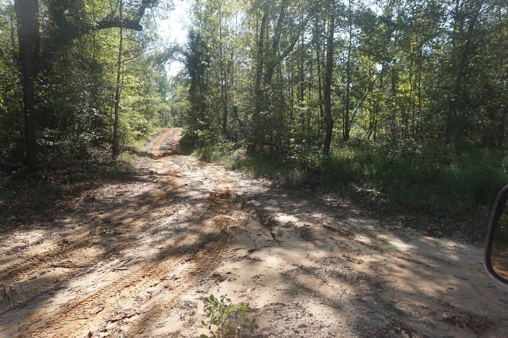 25.88 acres in ANDERSON County - photo 2