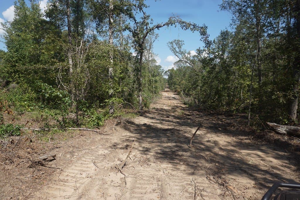 25.88 acres in ANDERSON County - photo 7