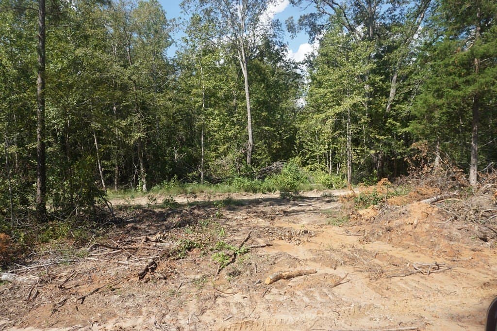25.88 acres in ANDERSON County - photo 8