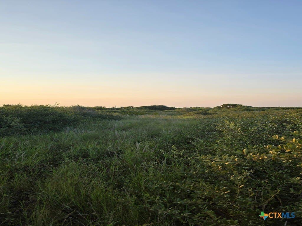 5 acres in Calhoun County - photo 6