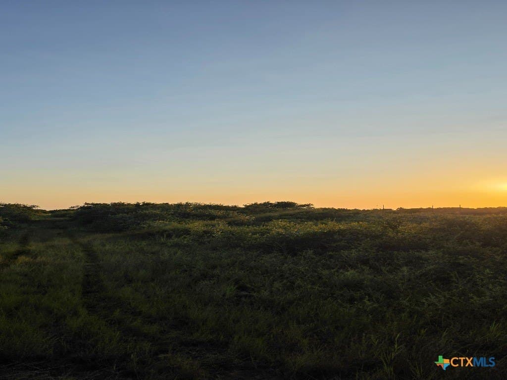 5 acres in Calhoun County - photo 11