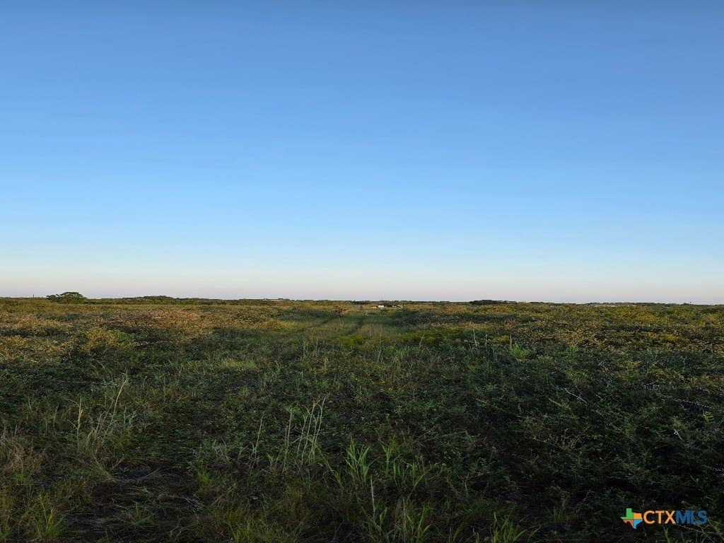 5 acres in Calhoun County - photo 3