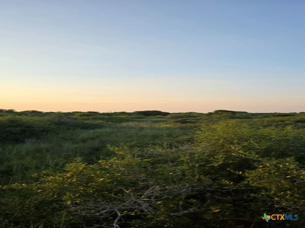 5 acres in Calhoun County - photo 5
