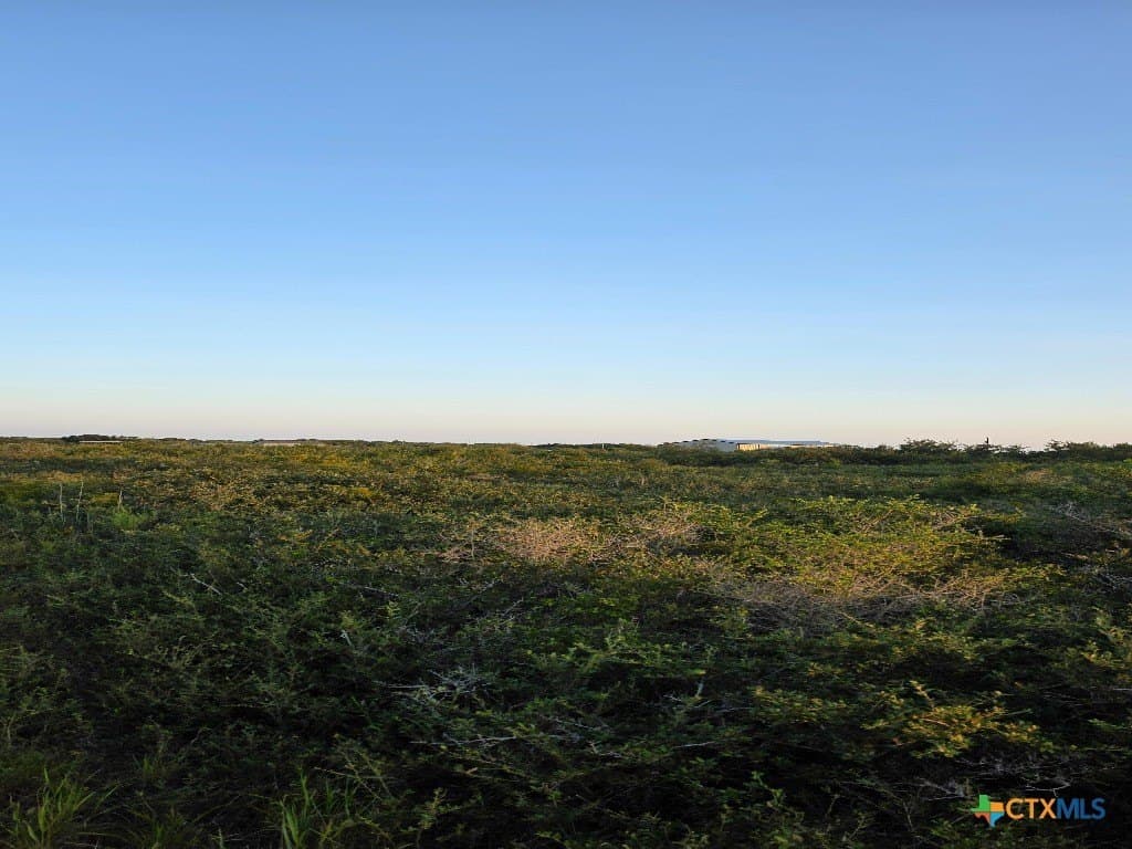 5 acres in Calhoun County - photo 8