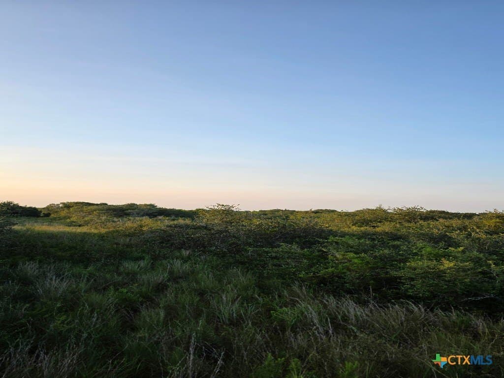 5 acres in Calhoun County - photo 7